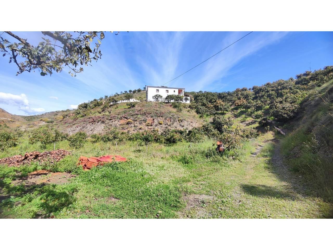 Building Site for Sale in Vélez-Málaga