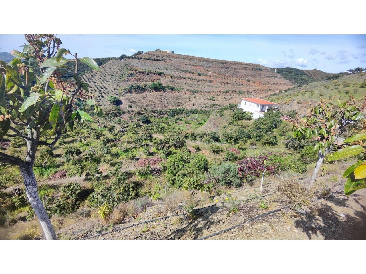 Building Site for Sale in Vélez-Málaga