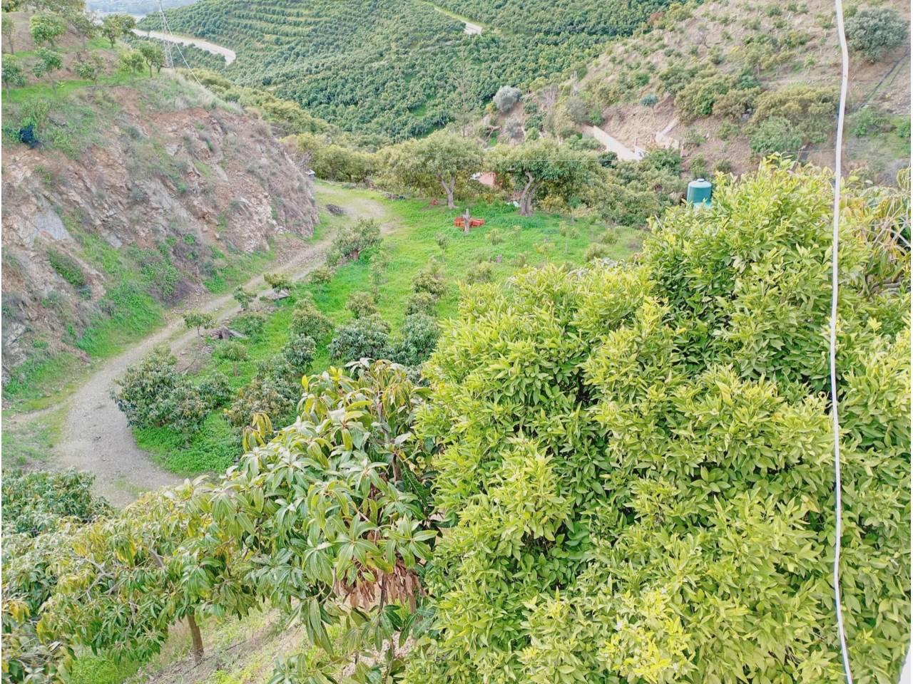 Building Site for Sale in Vélez-Málaga