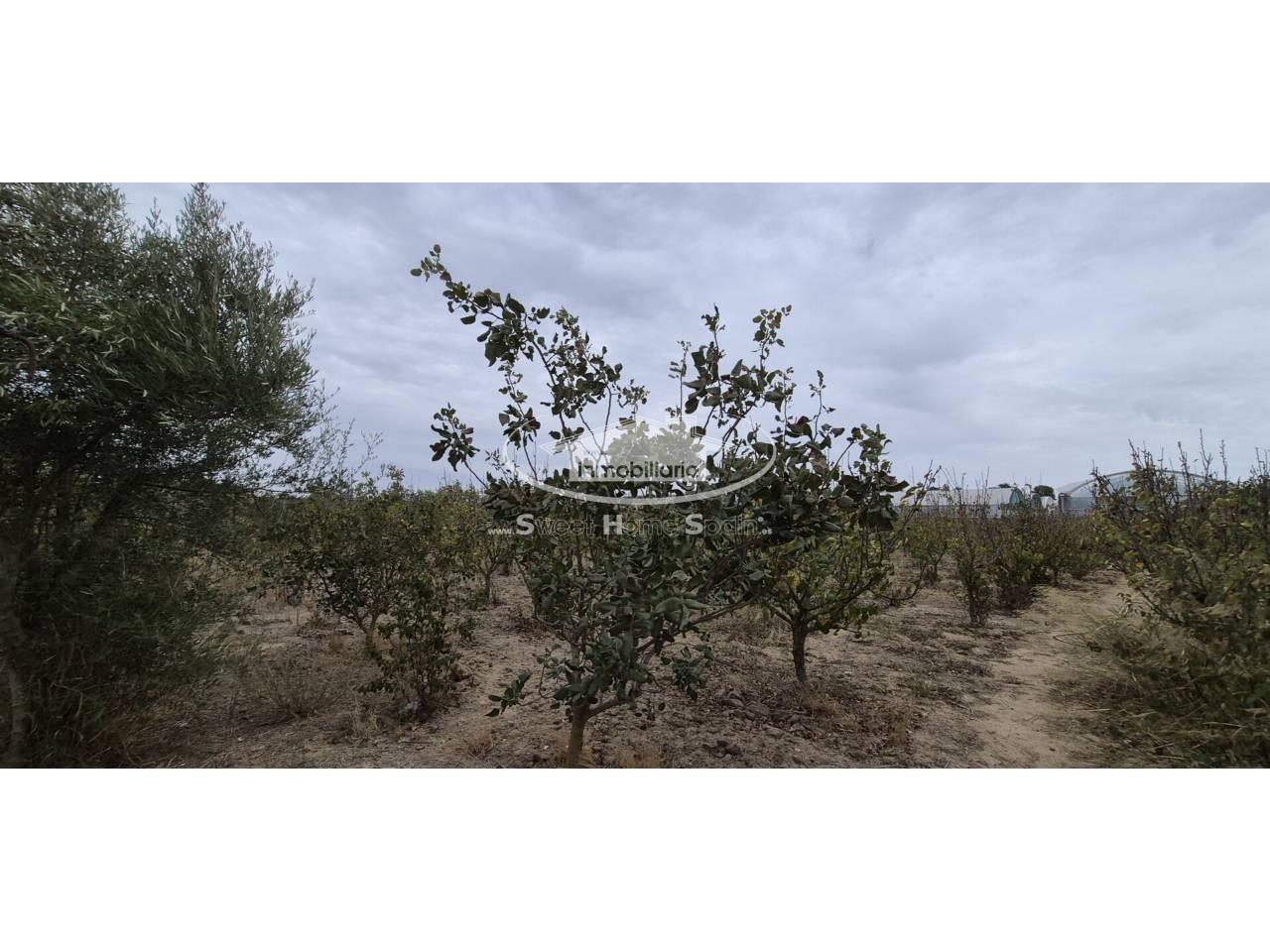 Finca en Venta en Chipiona