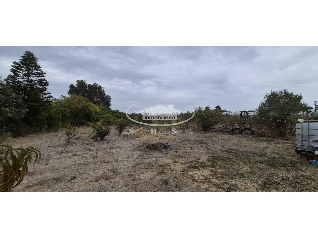 Finca en Venta en Chipiona