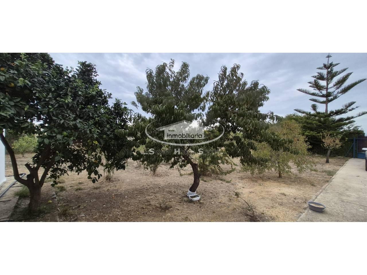 Finca en Venta en Chipiona