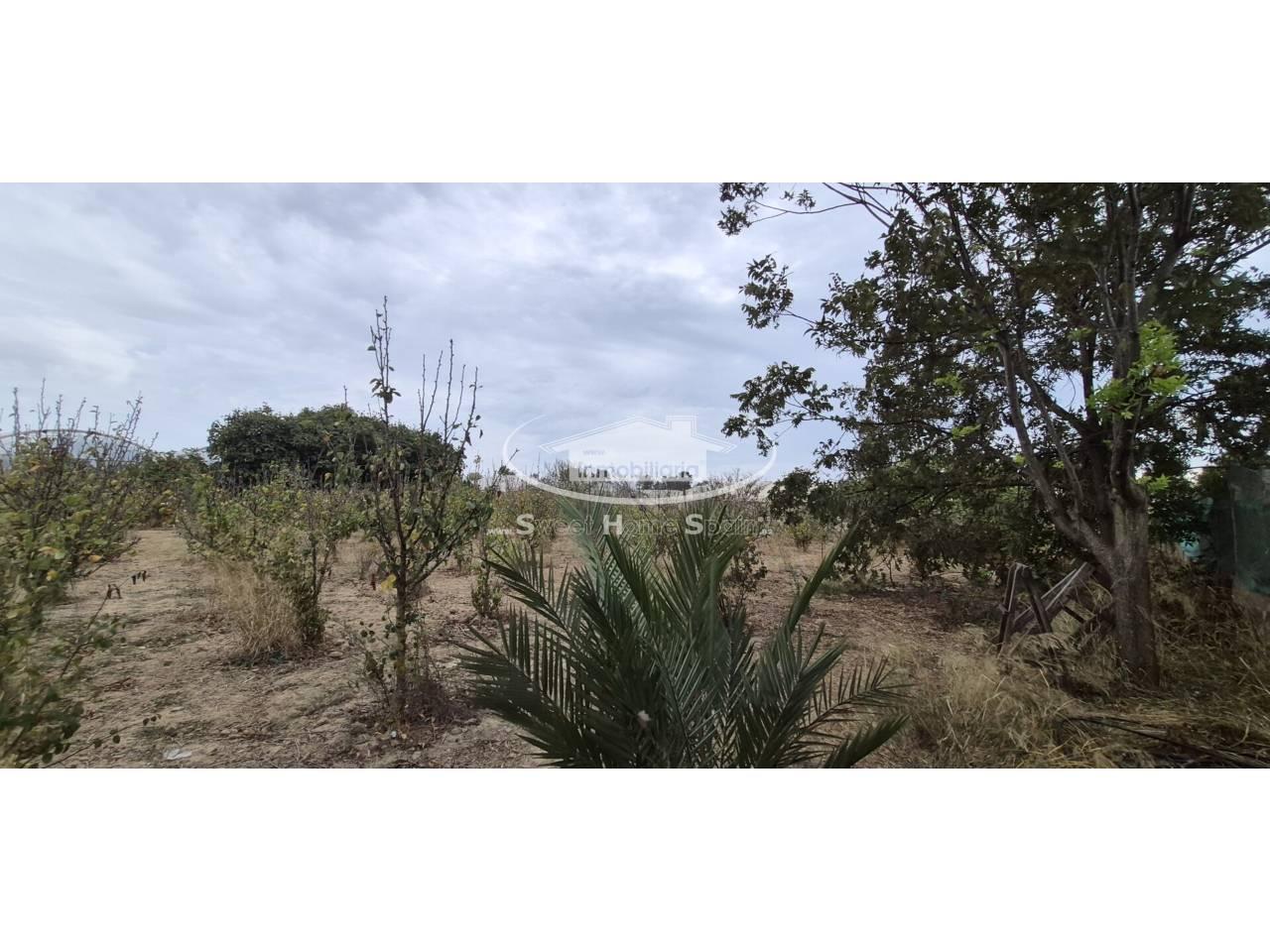 Finca en Venta en Chipiona