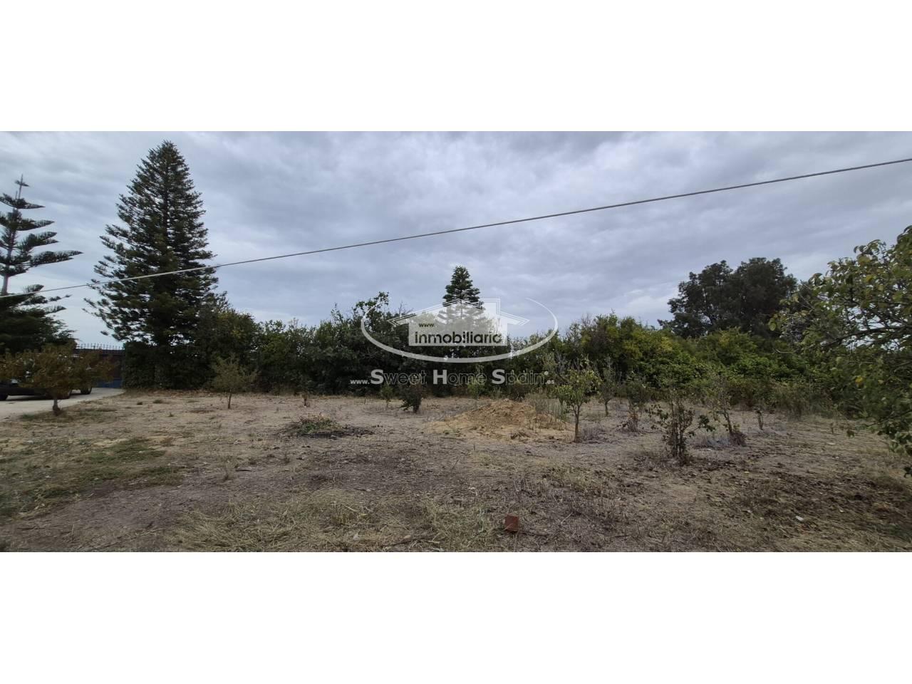Finca en Venta en Chipiona