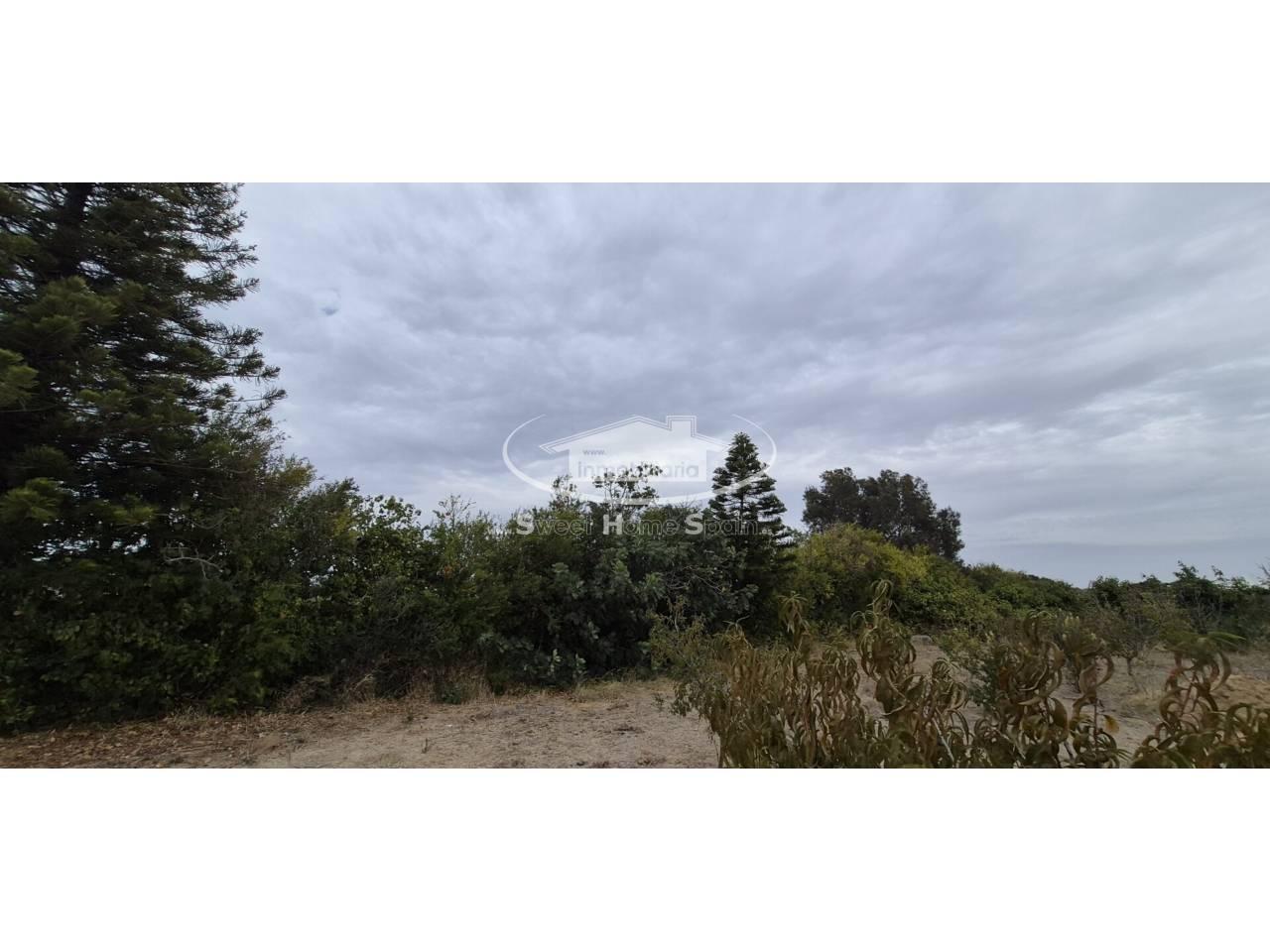 Finca en Venta en Chipiona