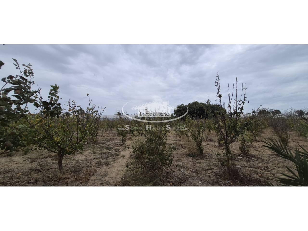 Finca en Venta en Chipiona