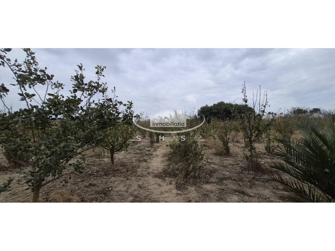 Finca en Venta en Chipiona
