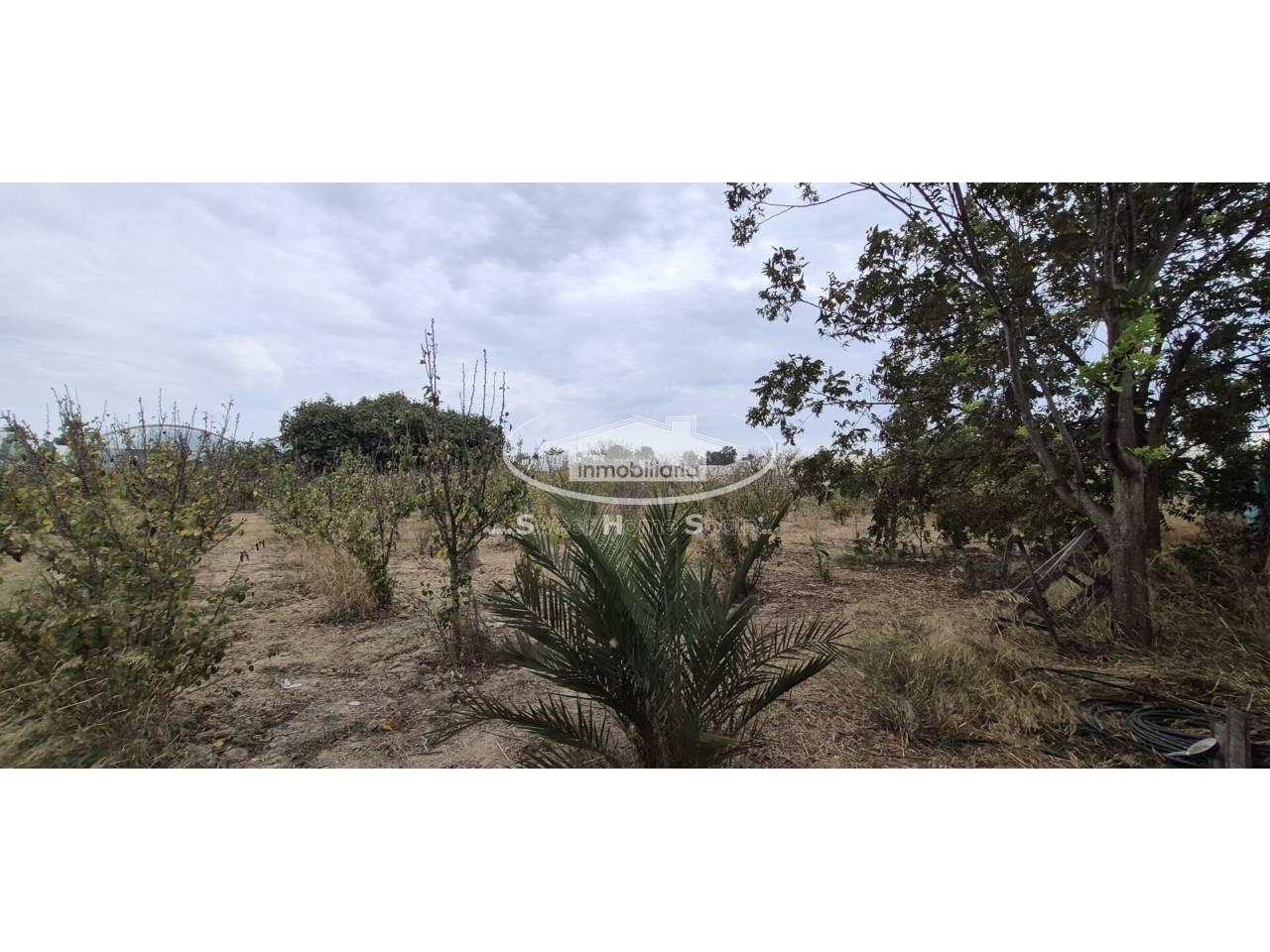 Finca en Venta en Chipiona