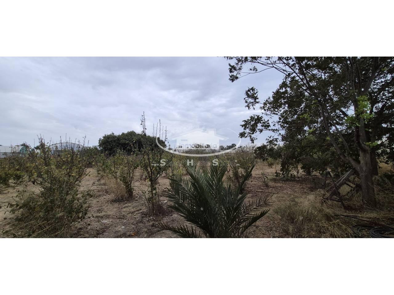 Finca en Venta en Chipiona