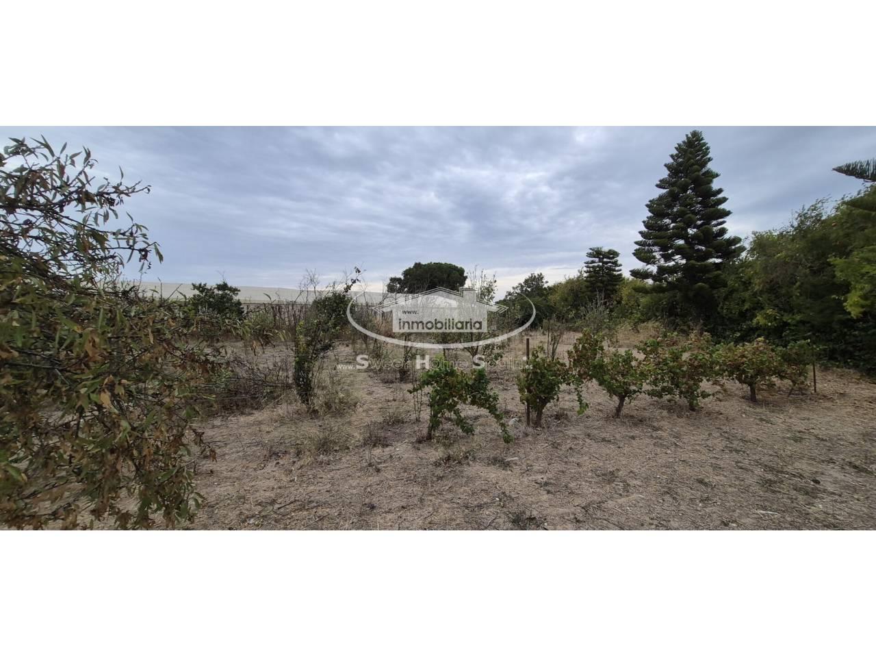 Finca en Venta en Chipiona