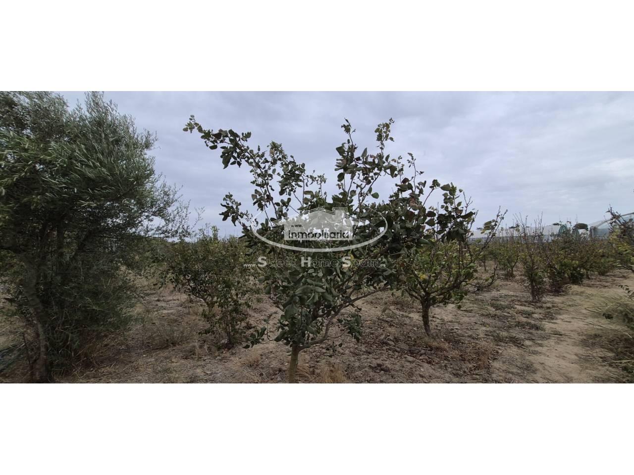 Finca en Venta en Chipiona
