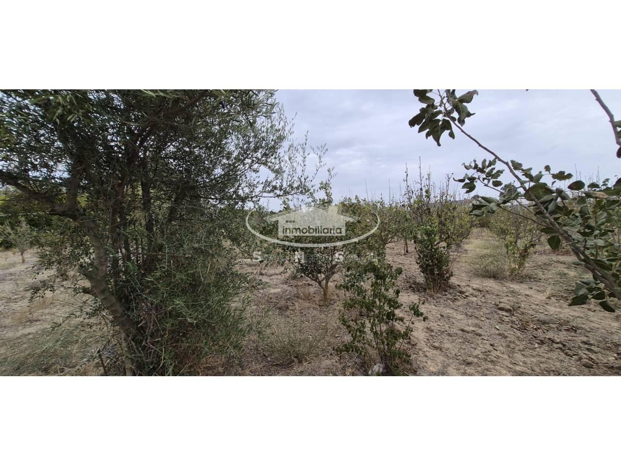 Finca en Venta en Chipiona
