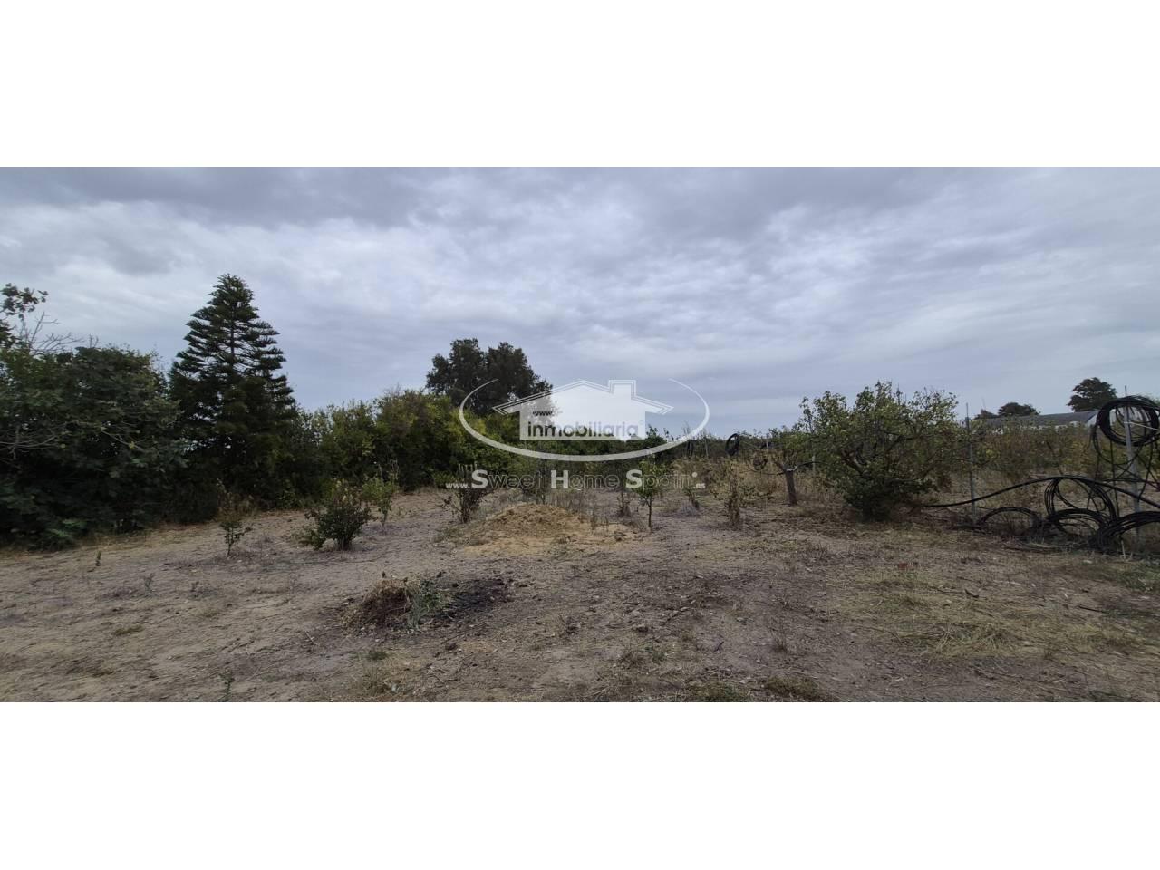 Finca en Venta en Chipiona