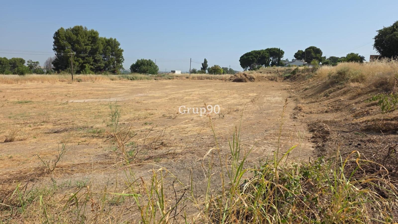 Building Site for Sale in Alcoletge