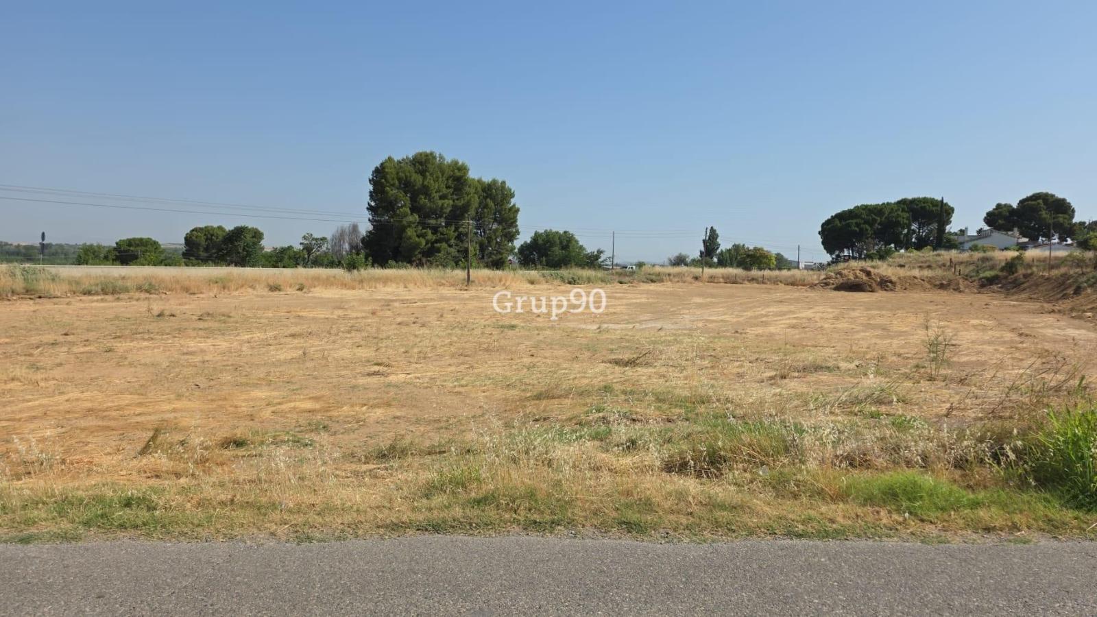 Building Site for Sale in Alcoletge