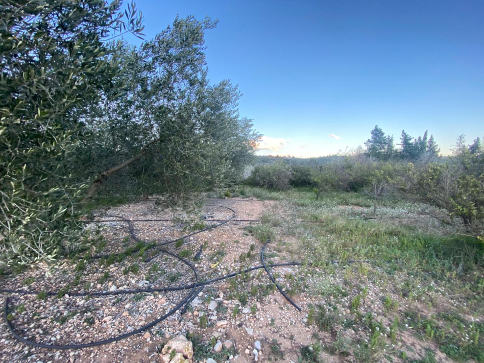 Finca en Venta en Masdenverge