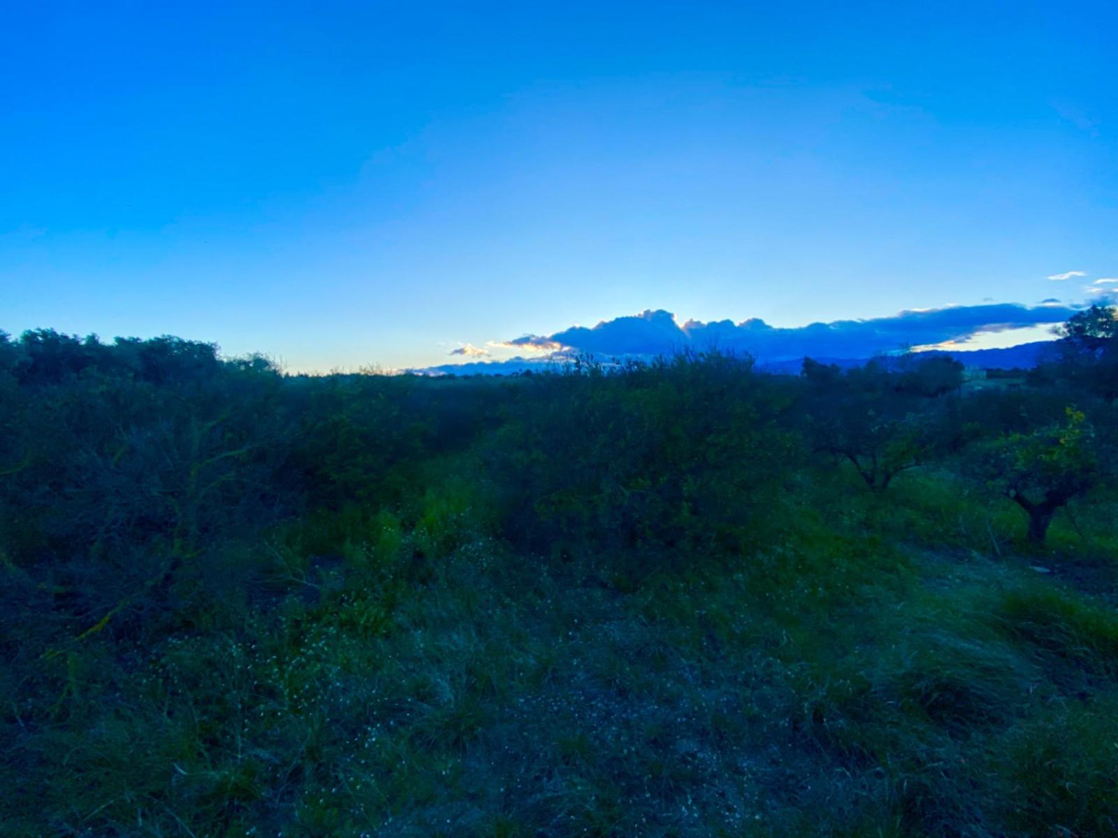 Finca en Venta en Masdenverge