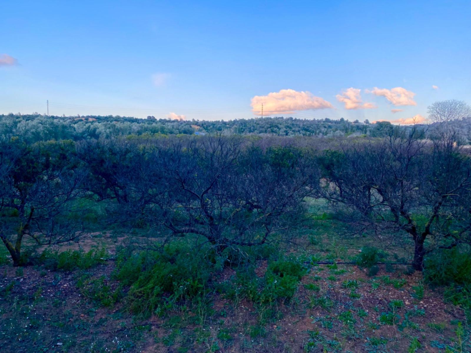 Finca en Venta en Masdenverge