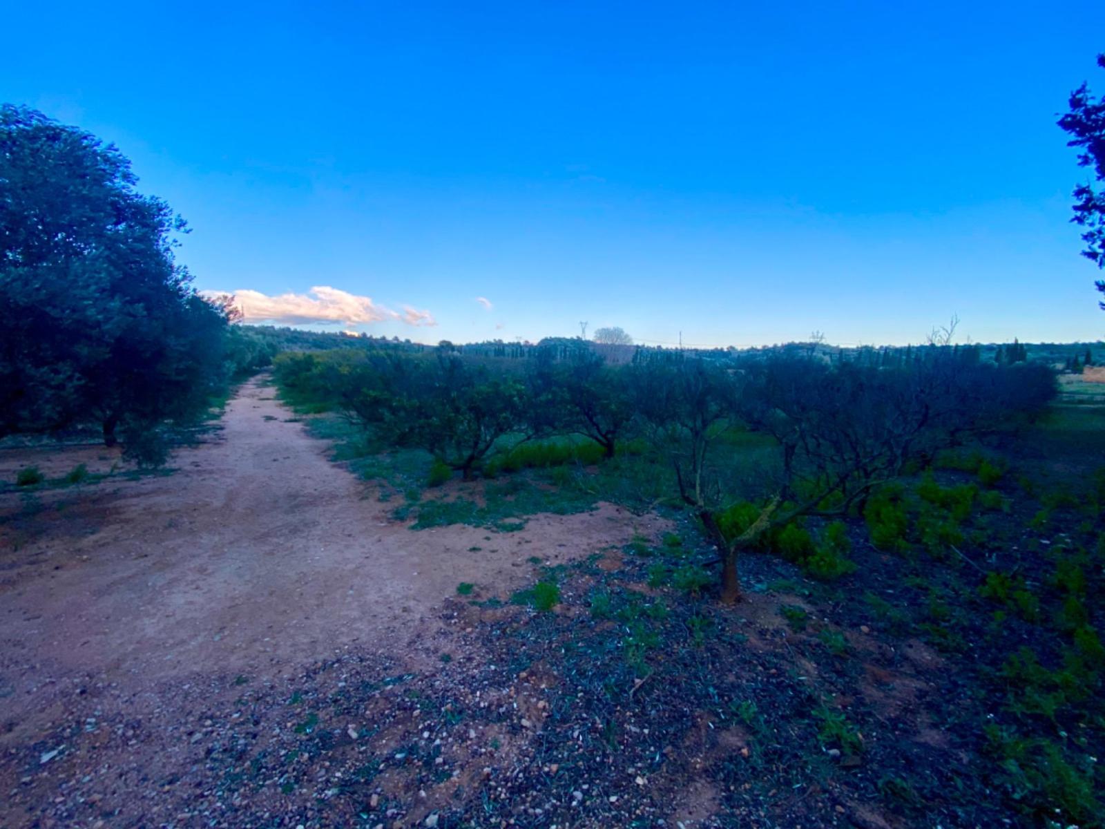 Finca en Venta en Masdenverge
