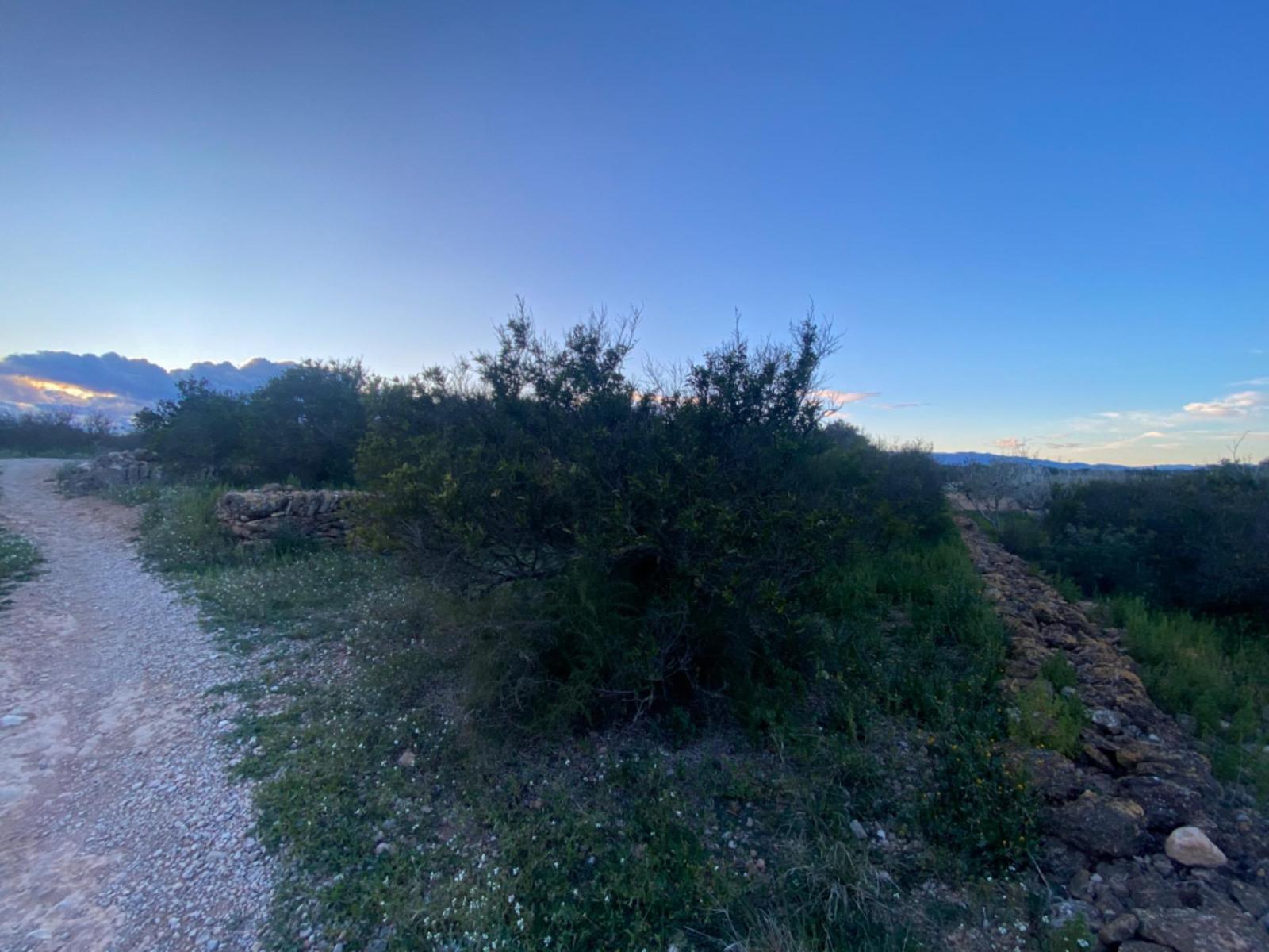 Finca en Venta en Masdenverge