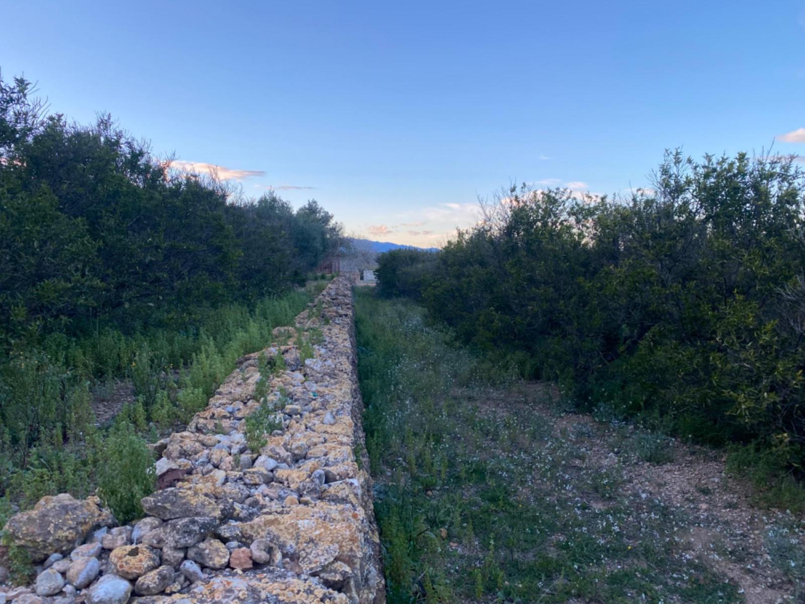 Finca en Venta en Masdenverge