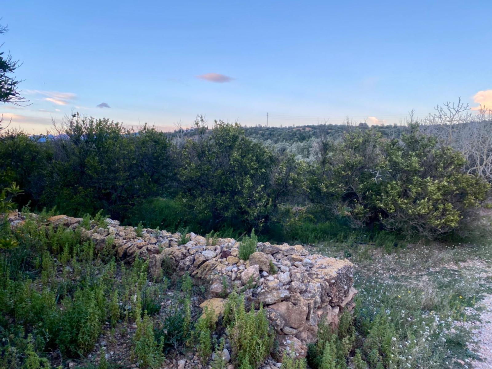 Finca en Venta en Masdenverge