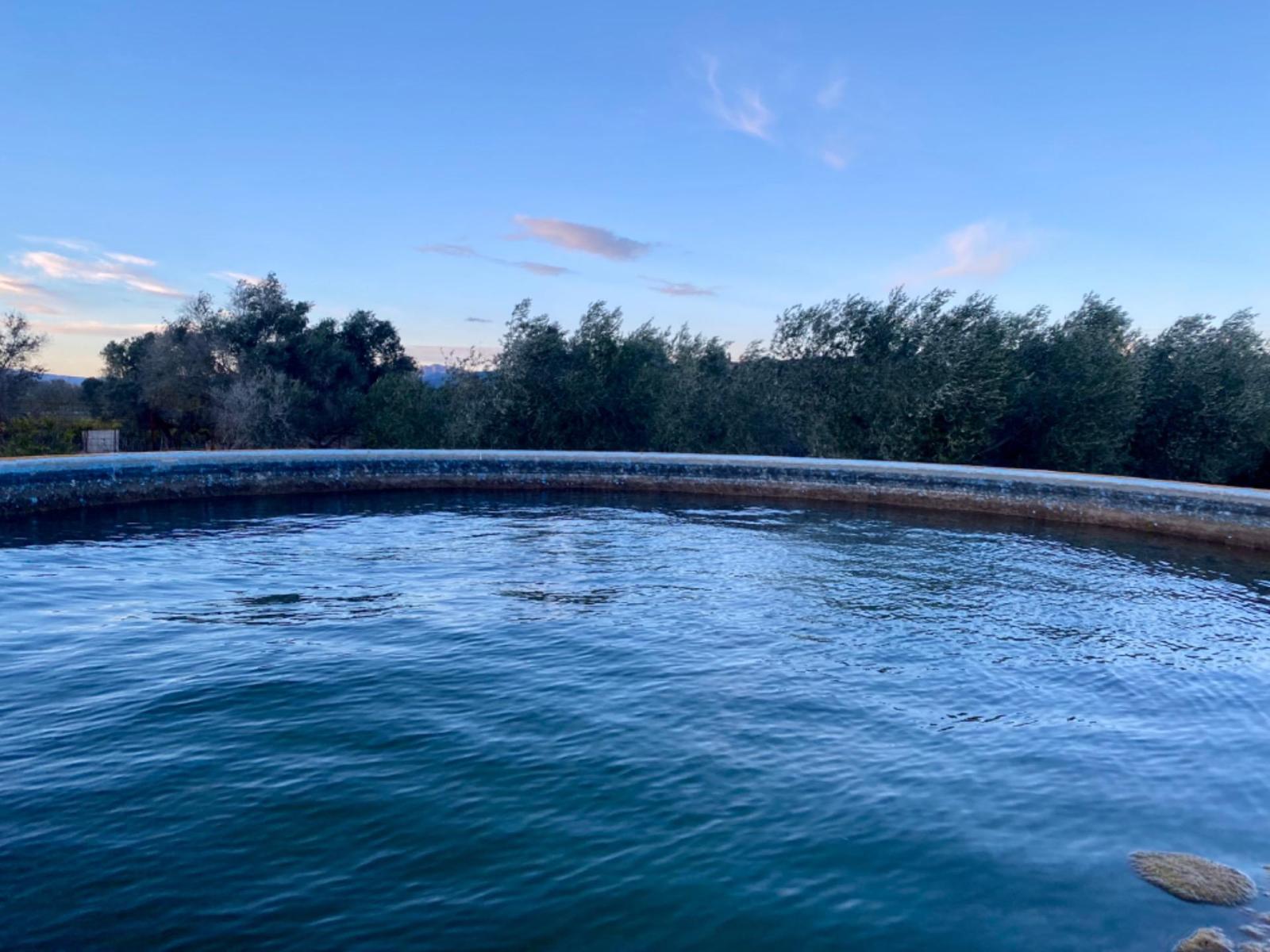 Finca en Venta en Masdenverge