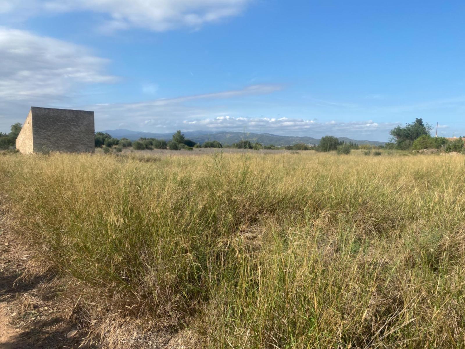 Finca en Venta en Santa Bàrbara