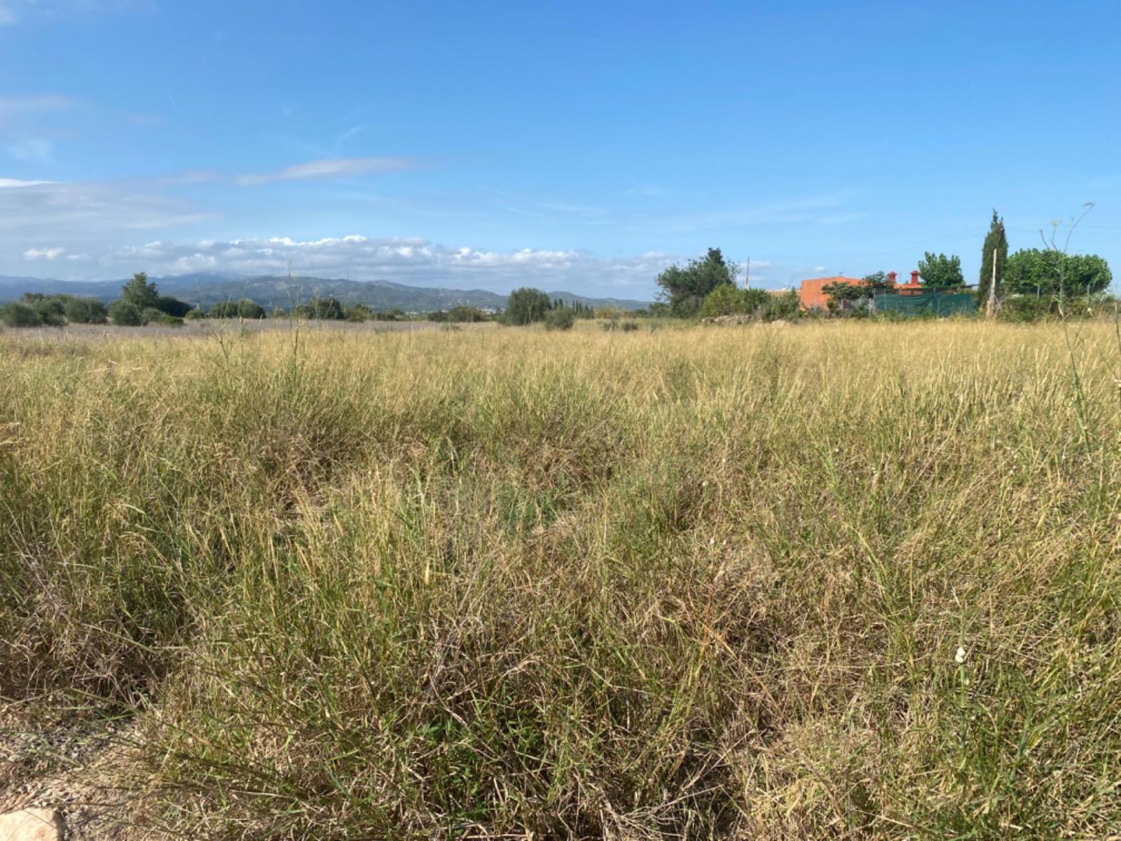 Finca en Venta en Santa Bàrbara