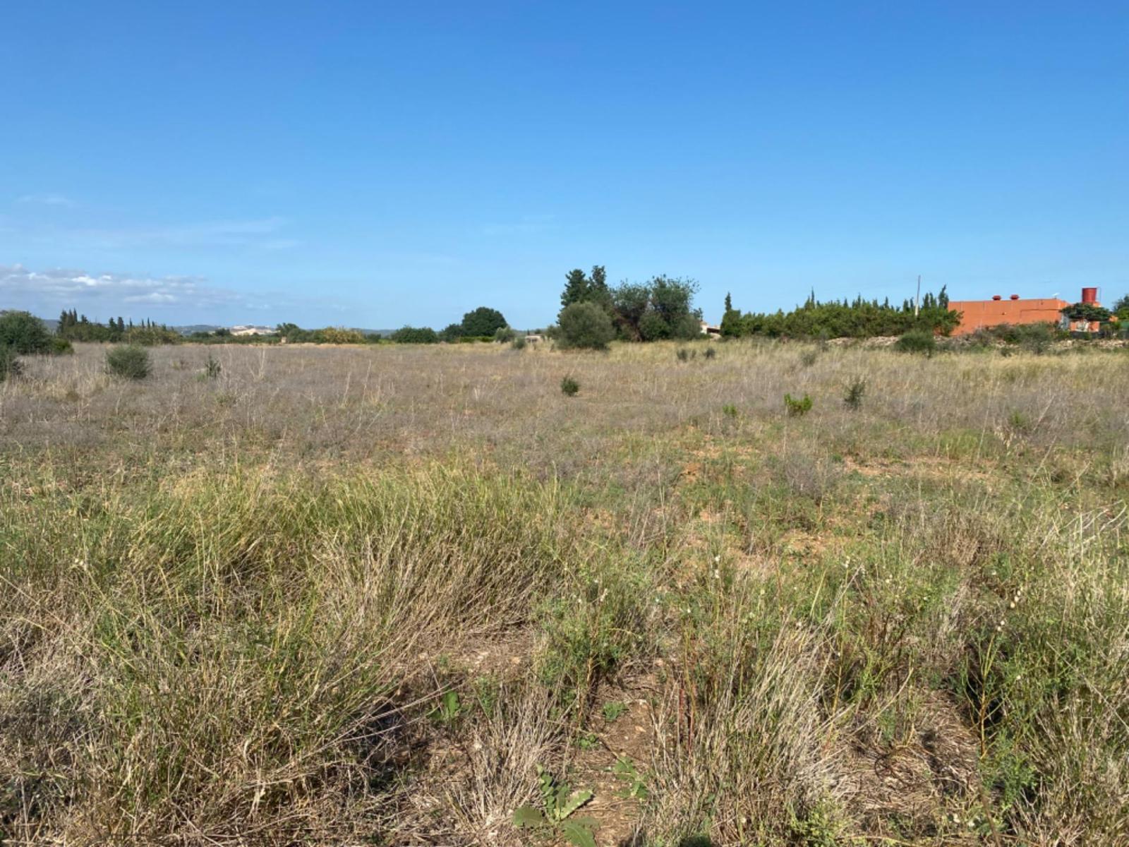 Finca en Venta en Santa Bàrbara