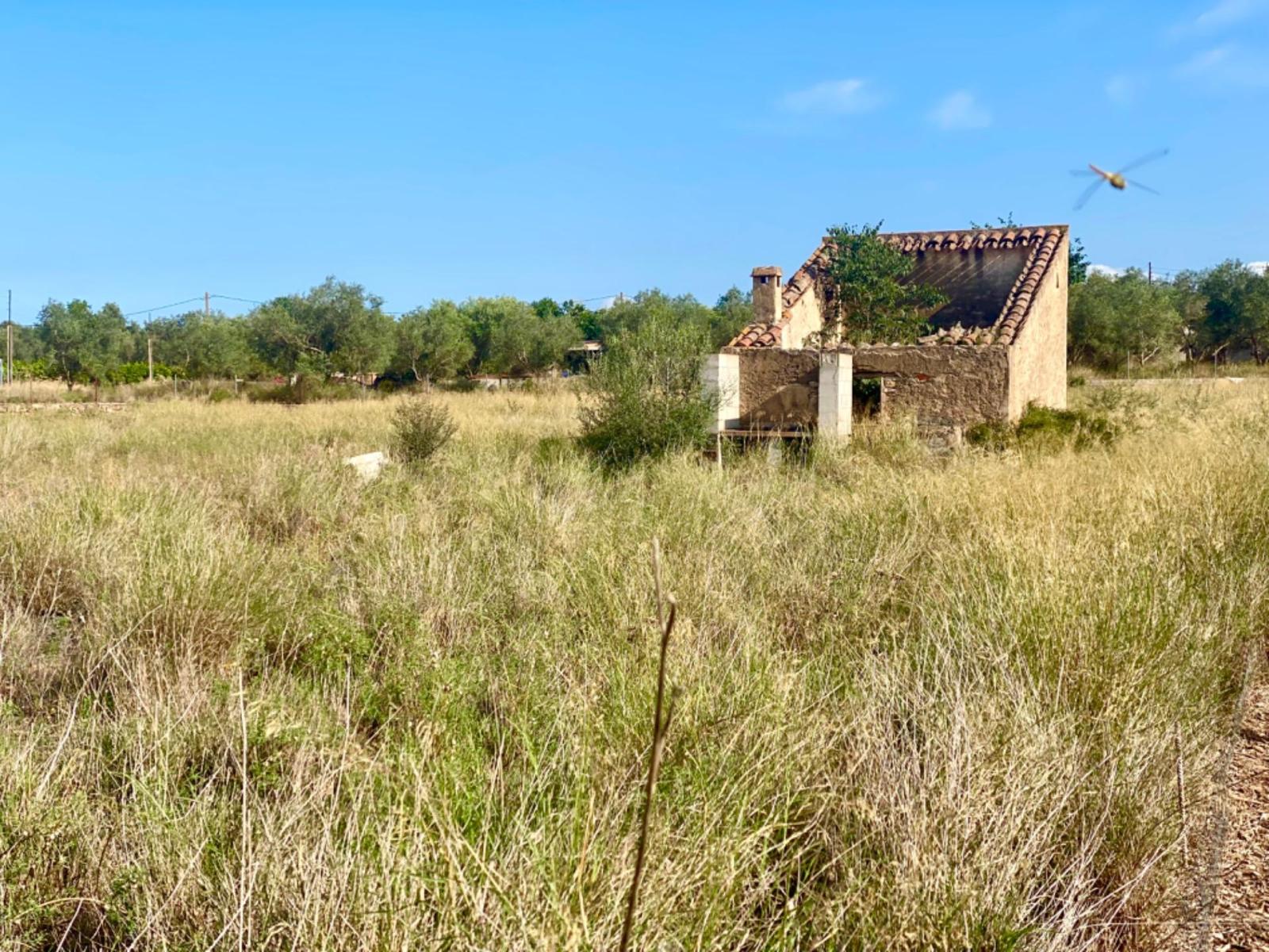 Finca en Venta en Santa Bàrbara