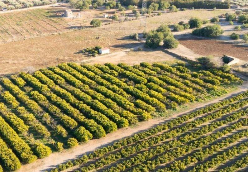Parcela en Venta en Santa Bàrbara