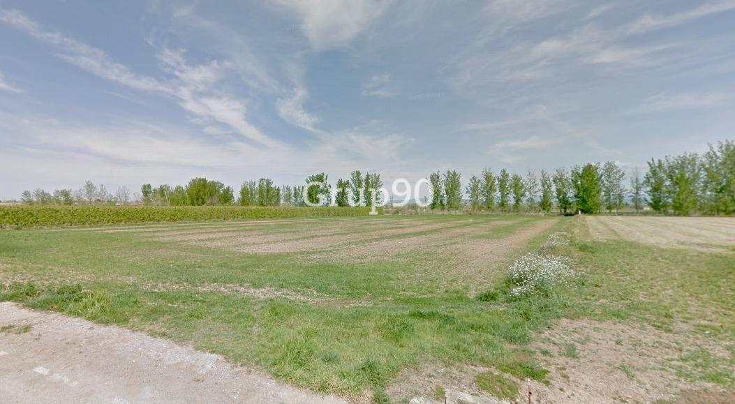 Plot for Sale in Alcoletge
