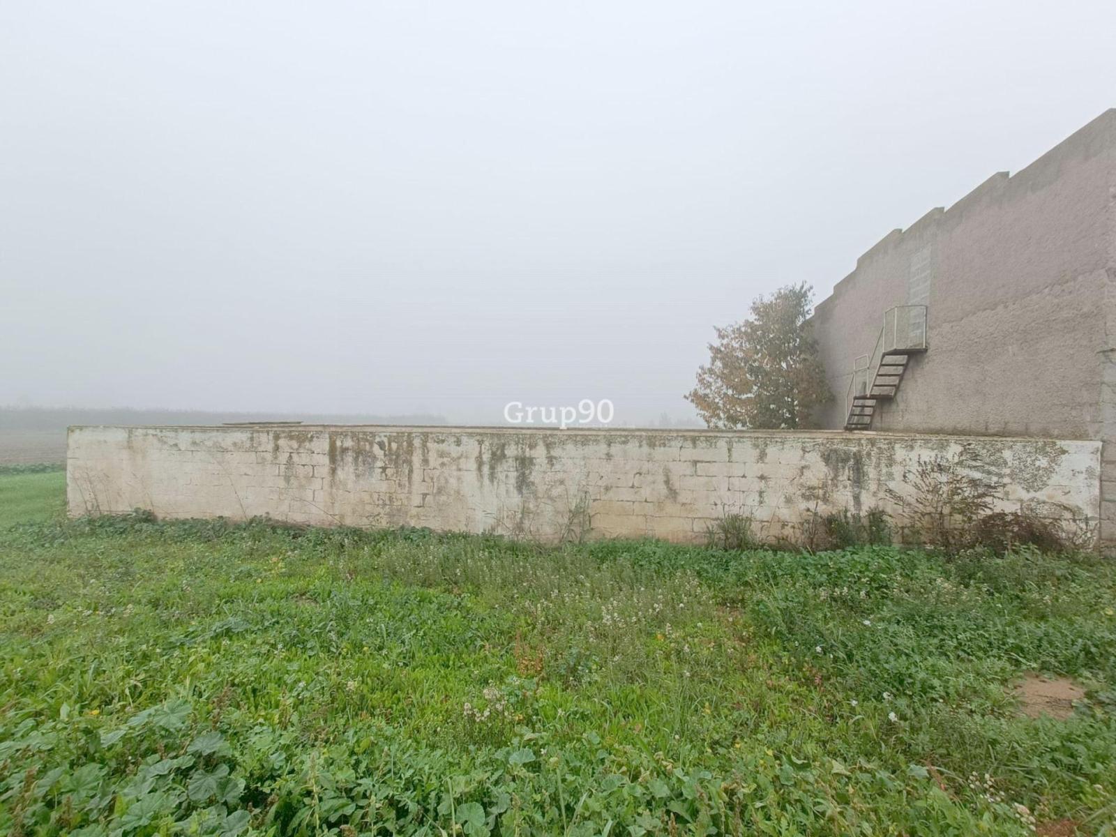 Plot for Sale in Alcoletge