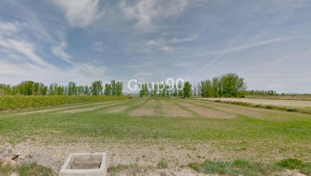 Plot for Sale in Alcoletge