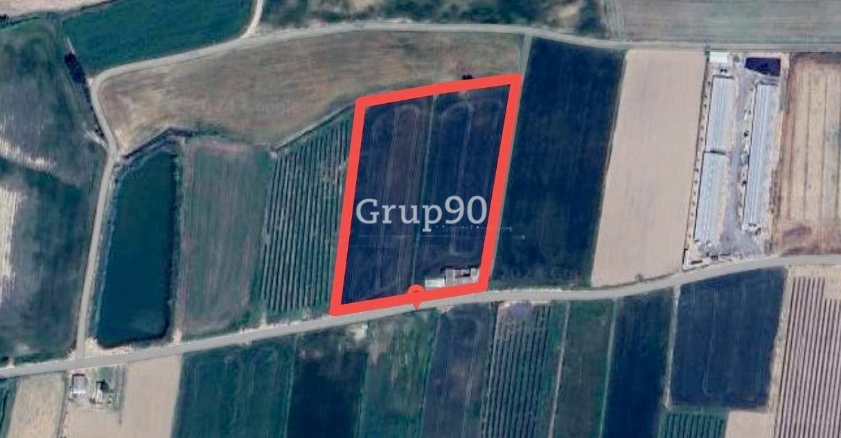 Plot for Sale in Alcoletge