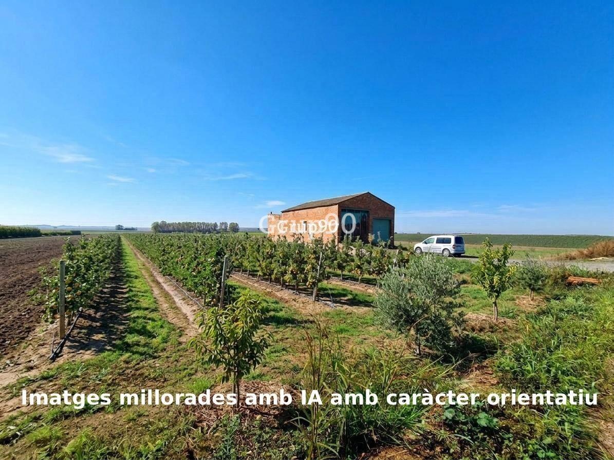 Plot for Sale in Alcoletge