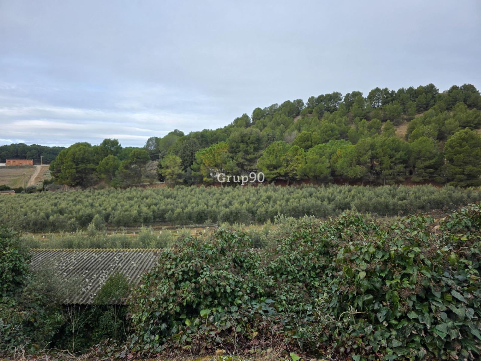 Plot for Sale in Alpicat