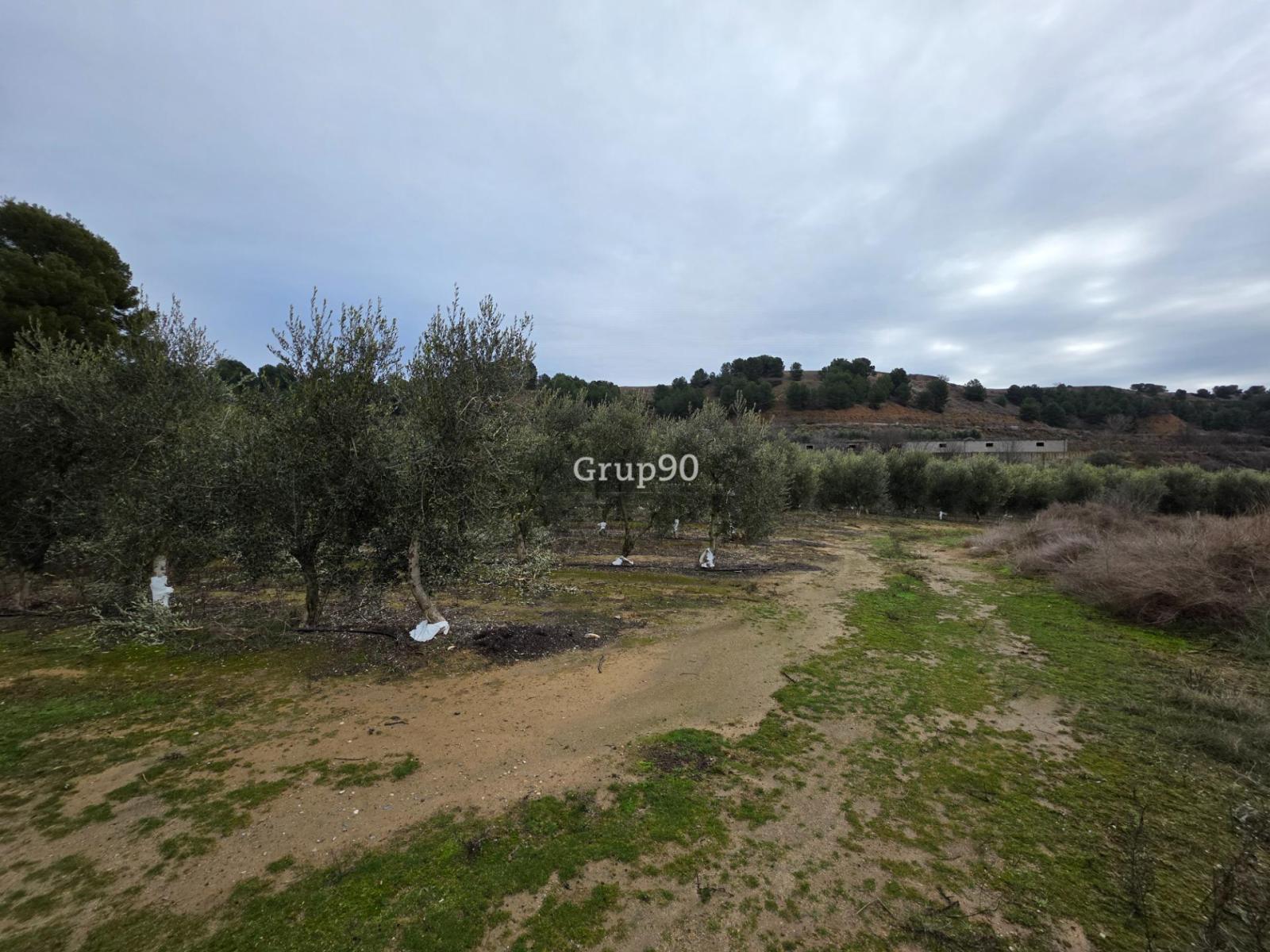 Plot for Sale in Alpicat