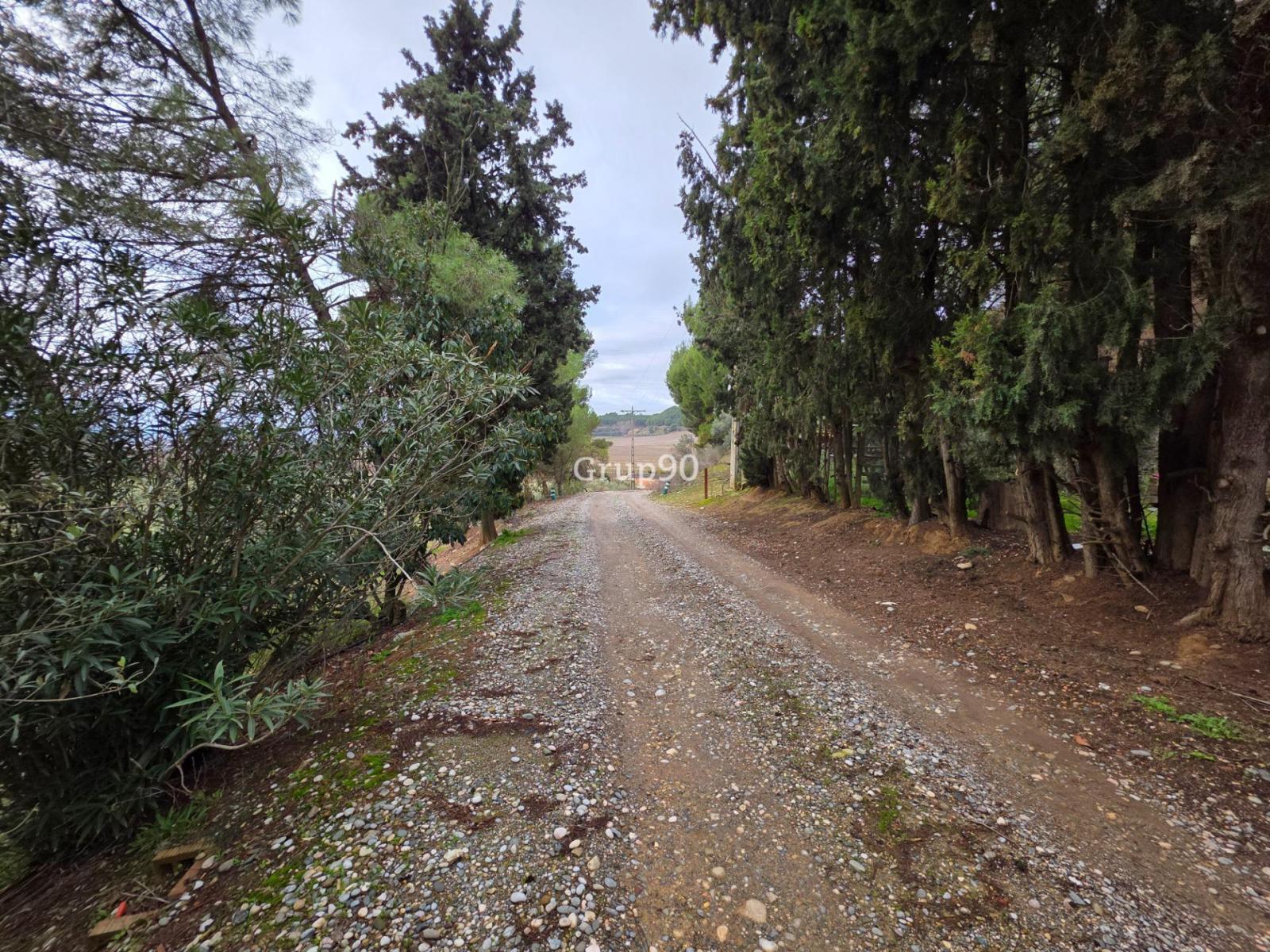 Plot for Sale in Alpicat