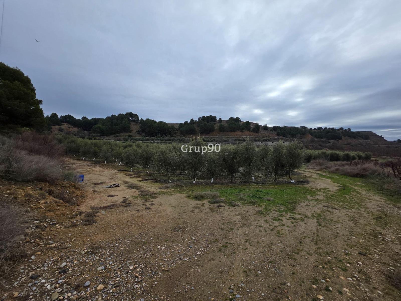 Plot for Sale in Alpicat