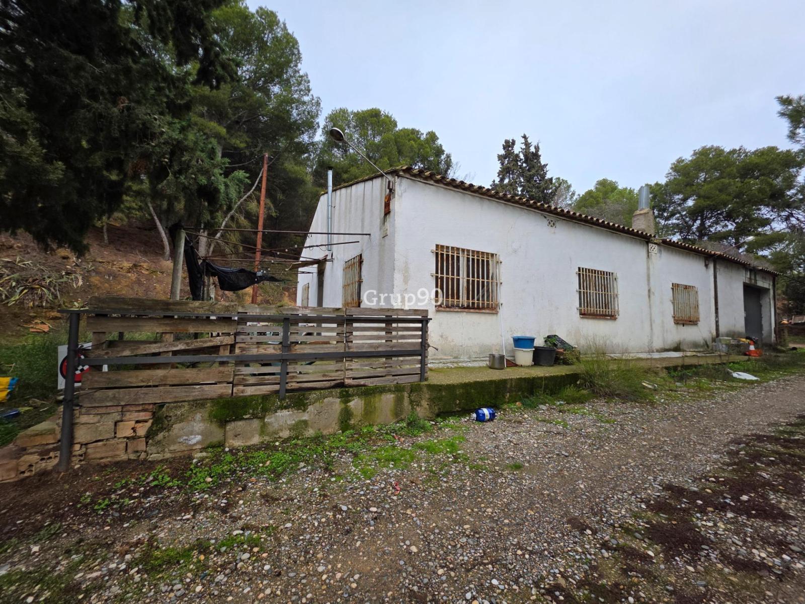Plot for Sale in Alpicat