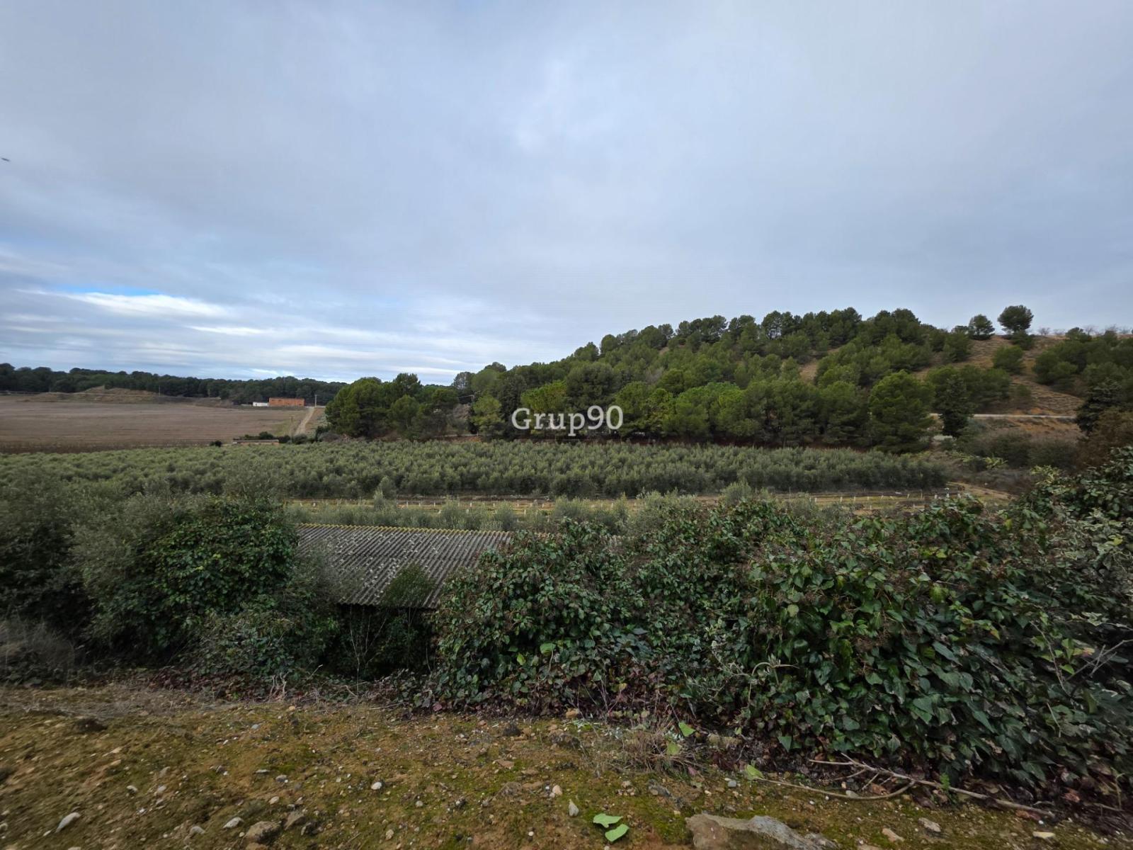 Plot for Sale in Alpicat