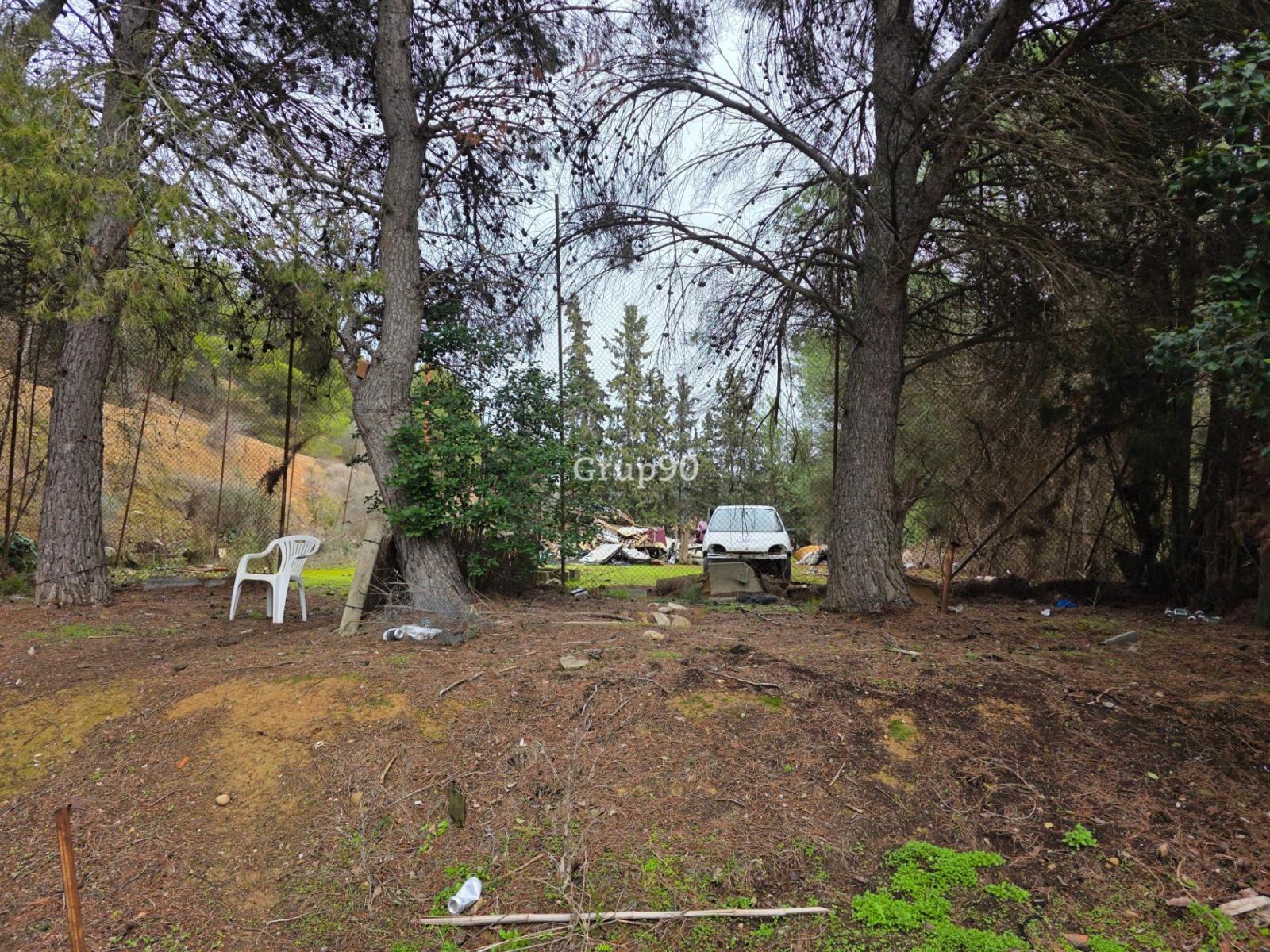 Plot for Sale in Alpicat