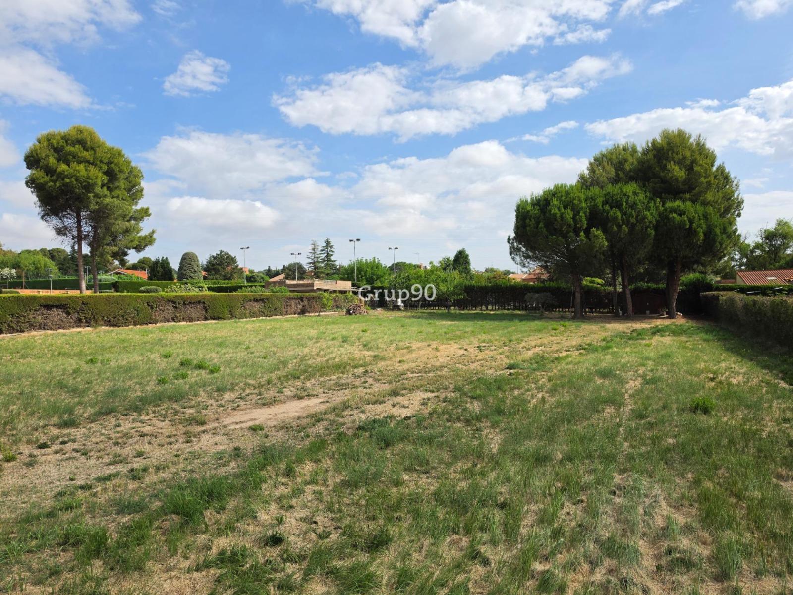 Plot for Sale in Alpicat