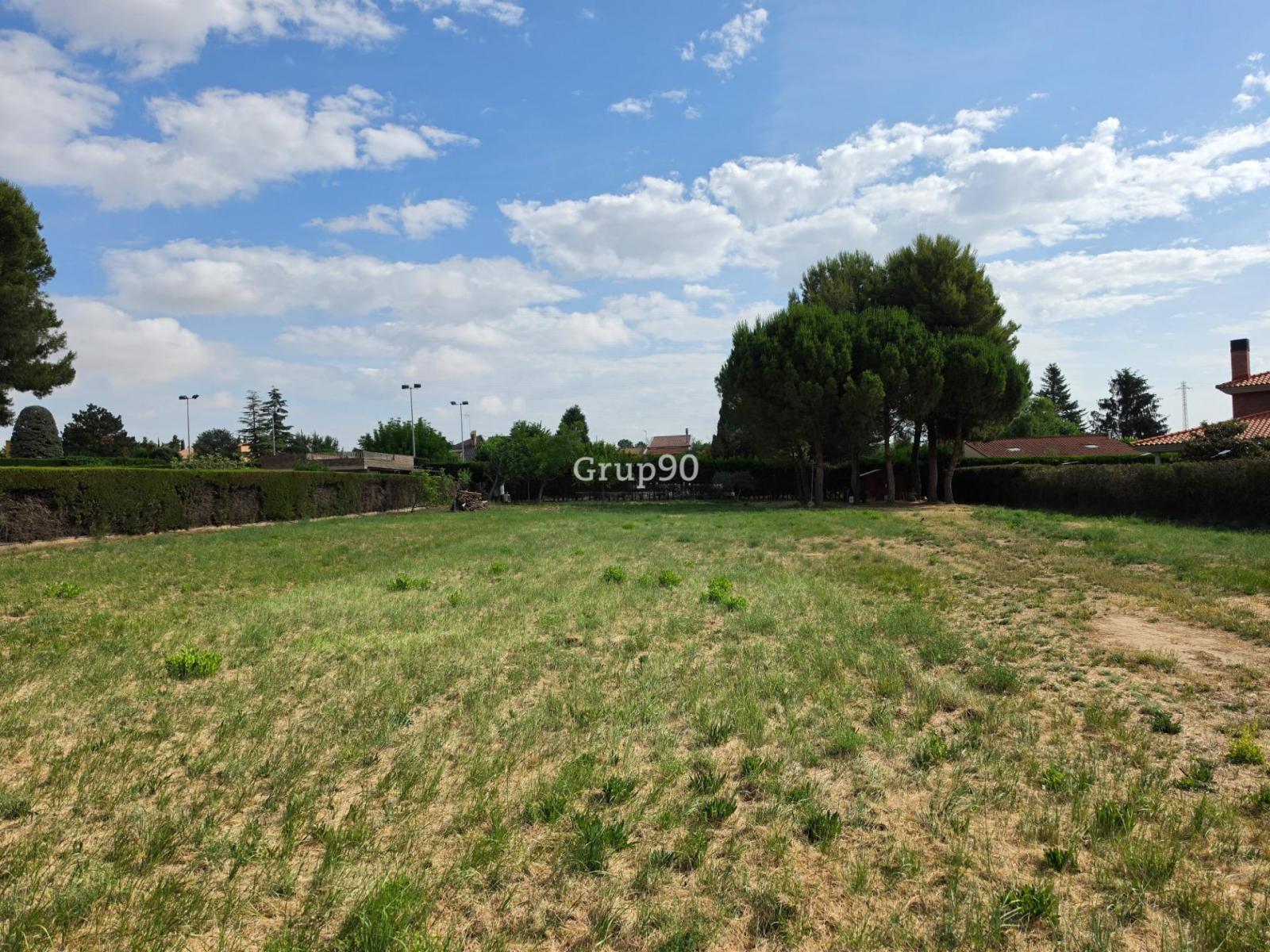 Plot for Sale in Alpicat