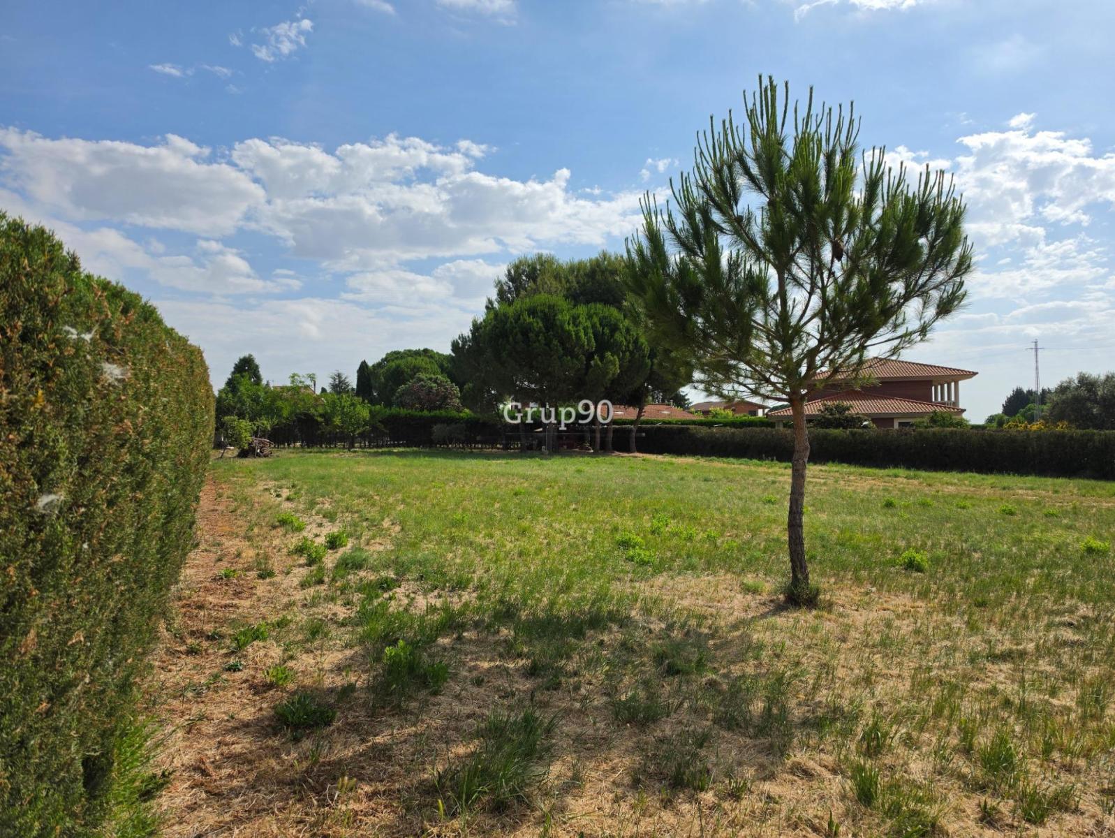 Plot for Sale in Alpicat