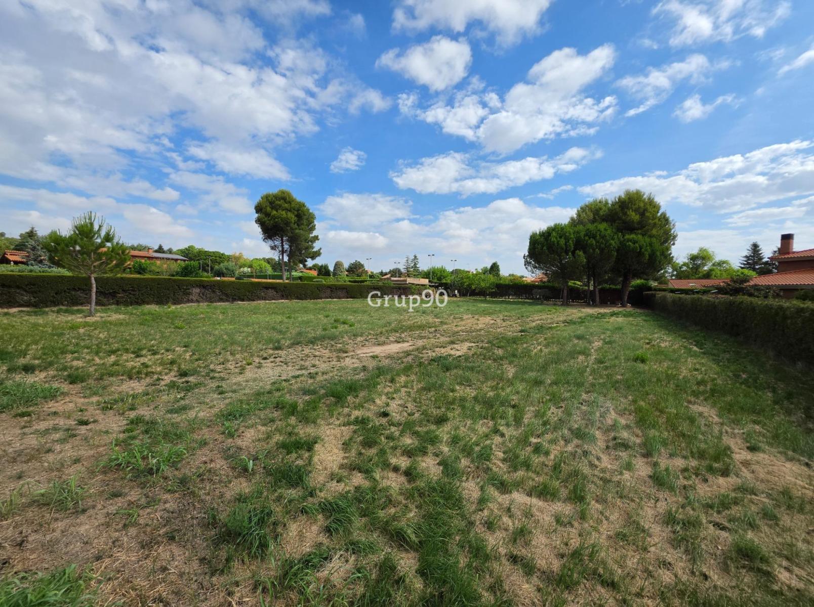 Plot for Sale in Alpicat