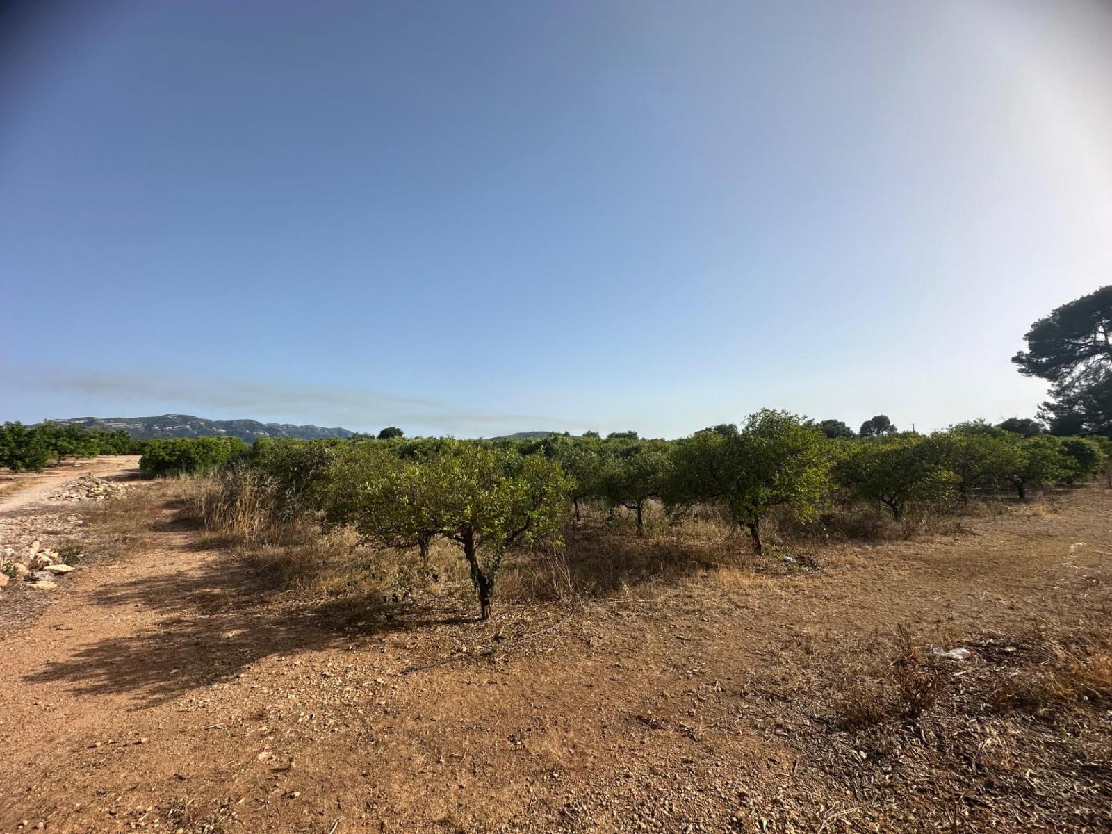 Plot for Sale in Masdenverge