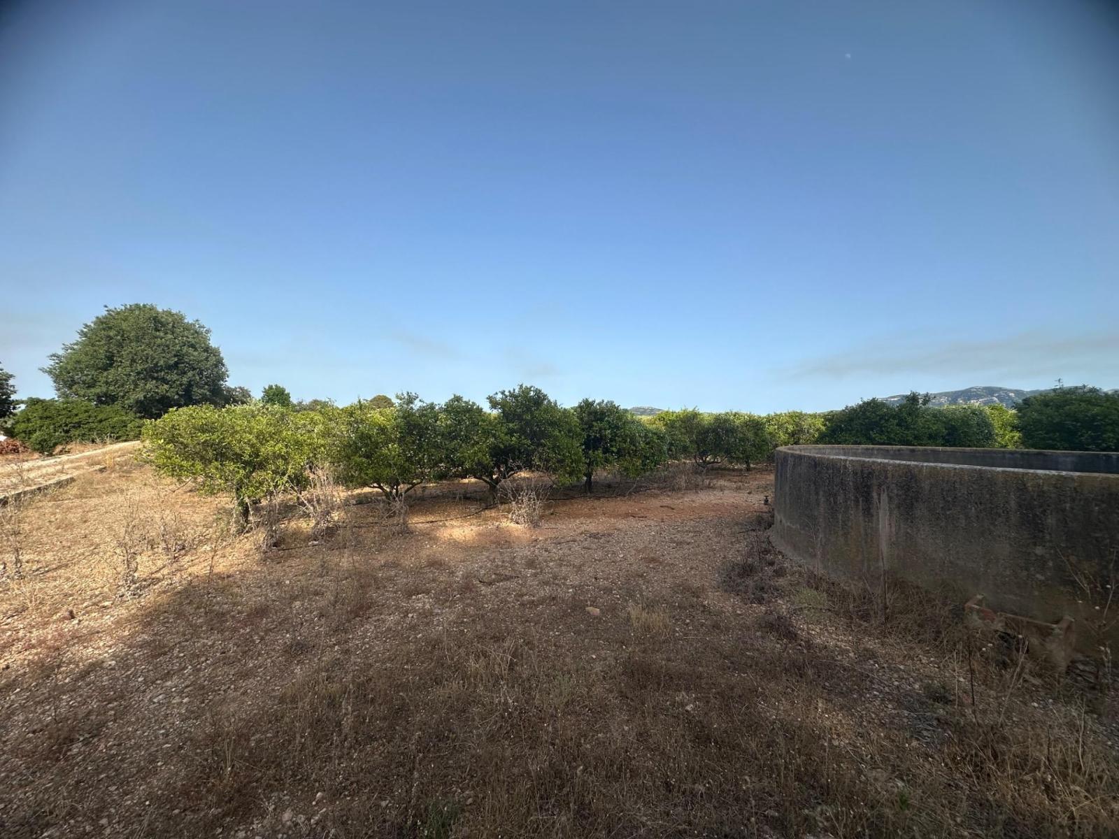 Plot for Sale in Masdenverge